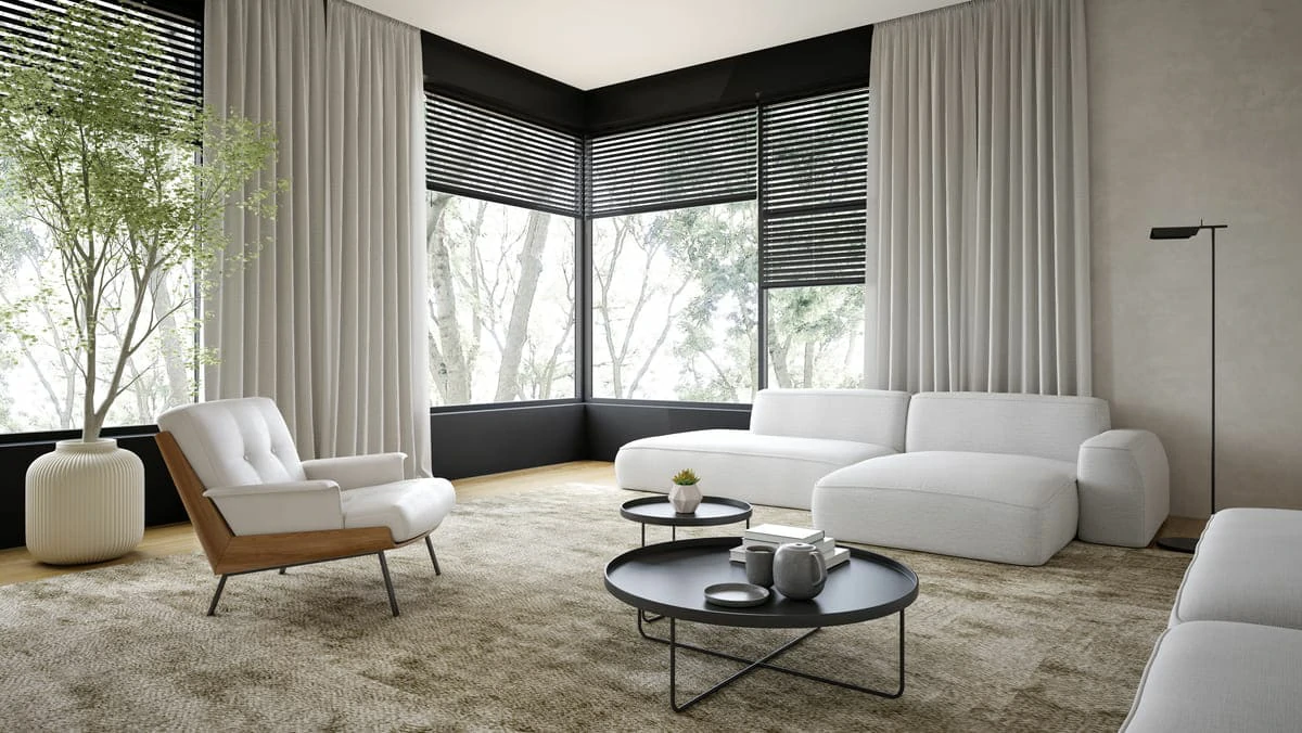 Modern Living Room with Blinds